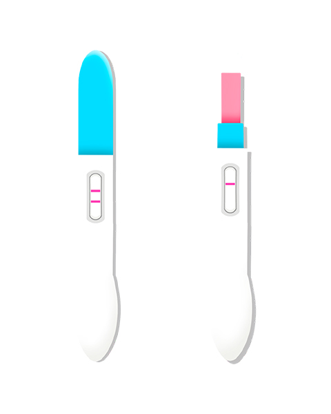 Pregnancy Test